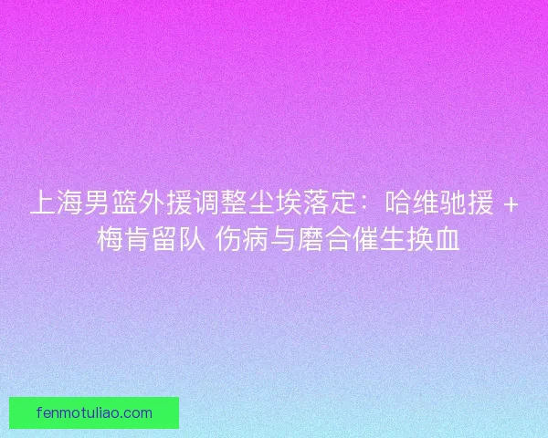 上海男篮外援调整尘埃落定：哈维驰援 + 梅肯留队 伤病与磨合催生换血