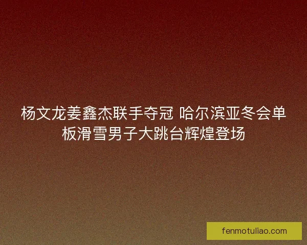 杨文龙姜鑫杰联手夺冠 哈尔滨亚冬会单板滑雪男子大跳台辉煌登场